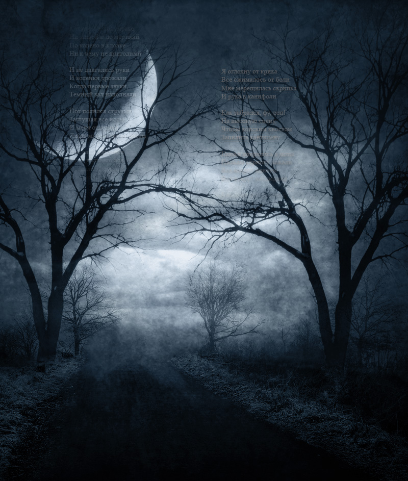 Версификация